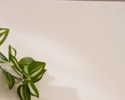Table basse forme organique en micro-ciment teinté crème 