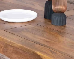 Table de repas extensible 200 à 290 cm 