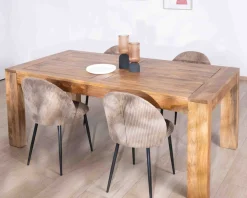 Table de repas extensible 200 à 290 cm 